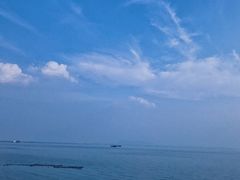 -贡湖湾湿地公园