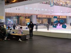 -TheRink大零溜冰场(IFS国金中心店)