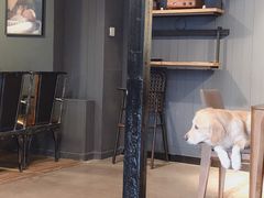 -百好乐宠物友好餐厅(朝外大街店)