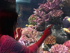 -暹罗海洋世界