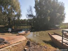 -白渔泡湿地公园