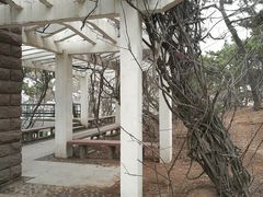 -贮水山儿童公园