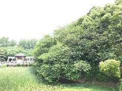 -蠡湖中央公园