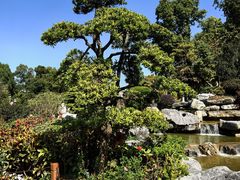-东莞植物园
