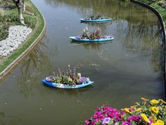 -上海鲜花港