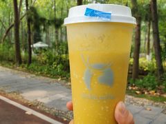 -合肥滨湖国家森林公园