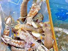 -甬小馆·焗海鲜温州菜(五马街店)