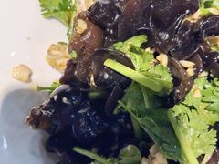 -洞庭家宴·头牌甲鱼(广渠门店)