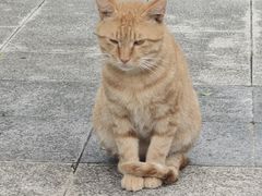 -狼山风景名胜区