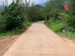 -长虫山生态公园风景林