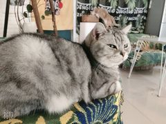-平行世界·猫咖(首经贸店)