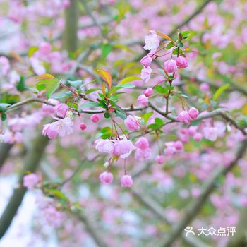 岸柳青青，莺飞草长，穿越看古装盛典