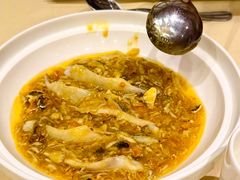 -王宝和酒家(黄浦店)