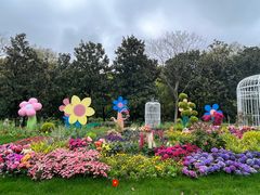 -上海共青森林公园