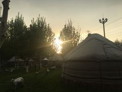 -九十九顶毡房(阜石路店)