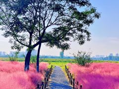 -汉长安城未央宫国家考古遗址公园