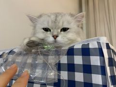 -彤德莱火锅(乐陵路店)