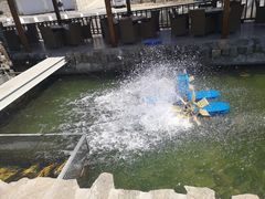 -京北渔家傲