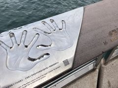 -星光大道