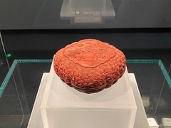 -广西壮族自治区博物馆