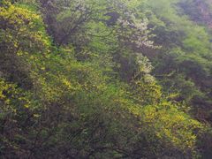 -山西通天峡景区