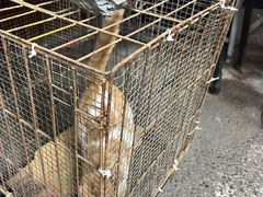 -玉泉综合市场(天山北路店)