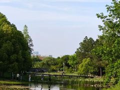 -长广溪湿地公园