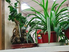 -津门张记包子铺(中山门店)