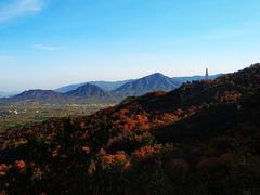 -北京鹫峰国家森林公园