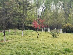 -城市运动公园(未央区)