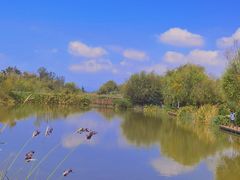-呈贡滇池生态湿地公园