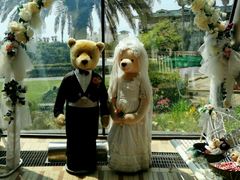 -济州岛泰迪熊博物馆