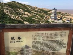-洋山深水港