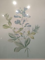 -颜蕾医美·黄金微针·水光·玻尿酸·超声炮·抗衰中心