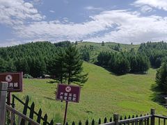 -驼梁风景区