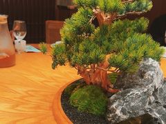 -老阿爸鲜鱼土菜(园区永旺店)