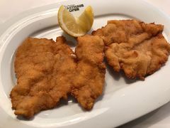 维也纳炸猪排-Plachuttas Gasthaus zur Oper