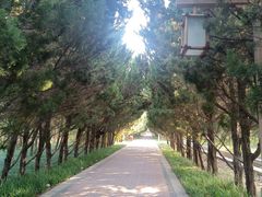 -洛阳市隋唐城遗址植物园