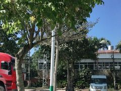 -西双版纳傣族园