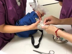 -爱诺耐芙动物医院(万博店)