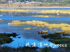 -腾冲北海湿地