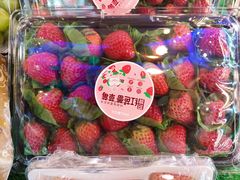 -百果园PAGODA(中铭豪园店)