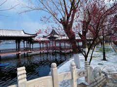 -南京古林公园