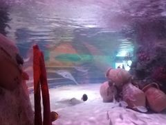 -沈阳海洋探索中心