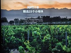 -龙谕酒庄