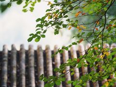-颐和园