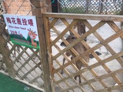 -萌宠亲子动物乐园(槐房万达店)