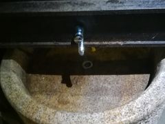 -合肥滨湖国家森林公园