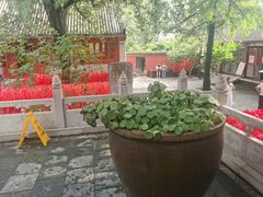 -红螺寺