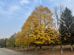 -长春世界雕塑园冰雪艺术天地